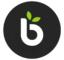 Biovo Colombia